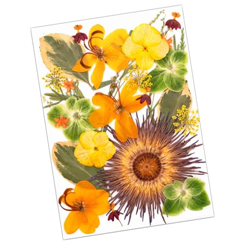 25 ԃA[gNtgpiubN}[NWG[쐬XNbvubLOԑ