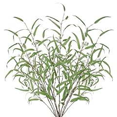 5pcs Eucalyptus With Seed-green