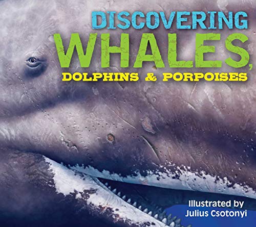 Discovering Whales, Dolphins & Porpoises: The Ultimate Guide to the Ocean's Largest Mammals