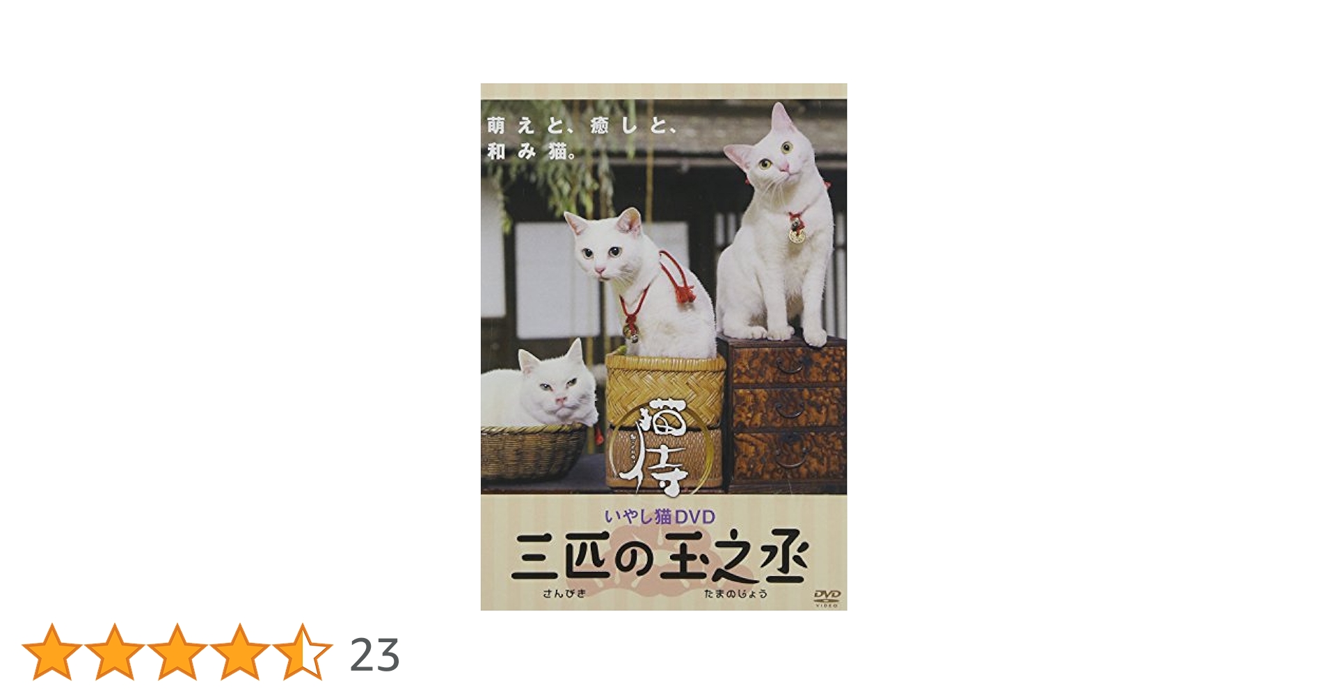 スコ座り猫。 DVD Amazon.co.jp: どスコい座り猫、まる。～養老孟司先生と猫の営業