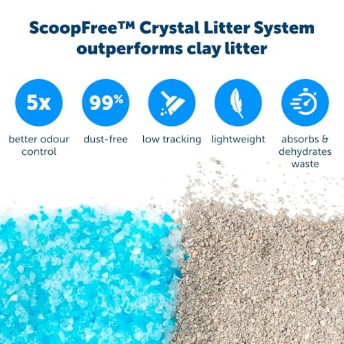 Image of PetSafe Official ScoopFree Complete Reusable Tray - Includes 4.3 lb of Premium Blue Crystal Litter - Compatible with All ScoopFree Complete Automatic Self Cleaning Litter Box Systems