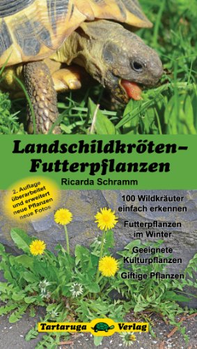 Landschildkröten-Futterpflanzen
