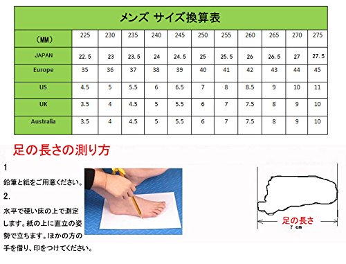 [Sansha] メンズ ダンスシューズ 艶消し マット モダン ラテ