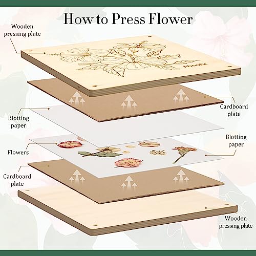 Aboofx Flower Press Kit, Craft Kits 11"x11" 10 Layers Wooden Flower Pressing Kit for Crafts Pressed Flowers & Plant Press for Valentine DIY Art, Preservation for Bookmark Frame Wedding Flowers Drying
