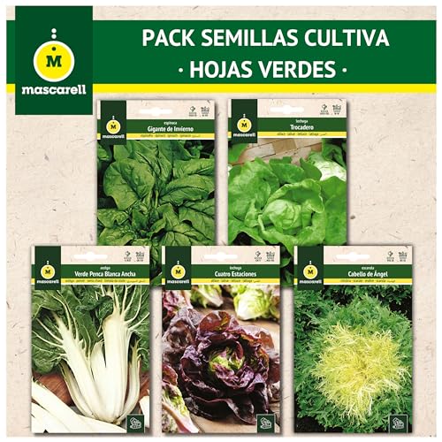 Semillas Mascarell, PACK SEMILLAS CULTIVA HOJAS VERDES, Kit Huerto en Casa Fácil de Cultivar, Contiene Acelga Verde, Espinaca, Lechuga, 2 Variedades de Lechuga & Escarola.