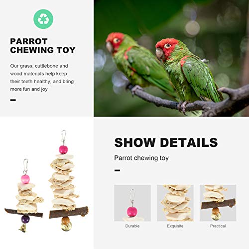 POPETPOP 2Pcs Natural Cuttlebones Cuttlebones Dentes Molar Toy Chew Toy Gaiola de Pássaro Pássaro de