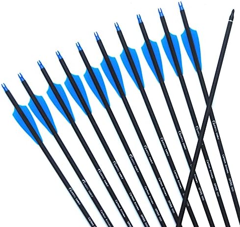 COLORFUL EAGLE Archery Carbon Arrows 28inch 30inch 31'' Targeting 500 Spine with Removable Tips for Recurve Bow Compound Longbow Hunting Shooting Practice (6/12PCS) (6 pcs 28 inch), 30 31inch