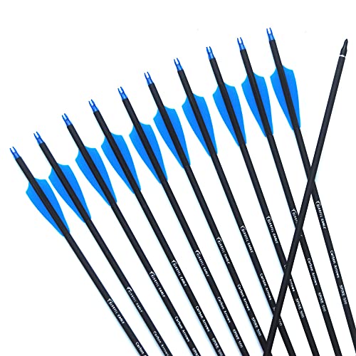 Colorful Eagle Archery Carbon Arrows 28Inch 30Inch 31'' Targeting 500 Spine With Removable Tips For Recurve Bow Compound Longbow Hunting Shooting Practice (6/12Pcs) (6 Pcs 28 Inch), 30 31Inch #TOP2