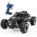 PHLPS 2. 4 GHz de control remoto de coches rc 1:16 de coches 4WD campo a través de carreras de coches 15.5MPH de radio de alta velocidad controlada de Vehículos Eléctricos Rock Crawler Buggy Monster T