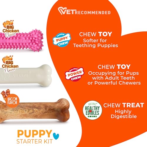Nylabone New Puppy Starter Kit, Chew Toys & Natural Chew Treat for Puppies, Puppy Enrichment Teething Toys, Pink, Long Lasting Chicken & Bacon Flavor, Small Dogs - Up to 25 Ibs, 3 Pack