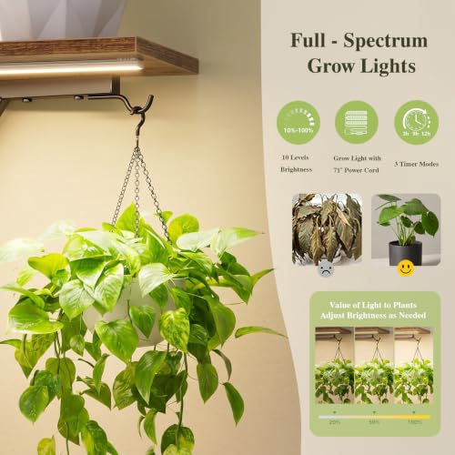 Image of Plant Stand with Grow Lights for Indoor Plants, 8 Tier 65 inch Tall Corner Plant Shelf for Multiple Plants, Curved Metal Flower Rack with Hanging Hooks, Living Room Bedroom Apartment (Black)