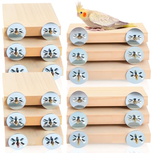 Image of Reginary 12 Pcs Wood Bird Platform Rectangle Wood Perch Stand Board Habitat Cage Corner Shelf with Washers Bird Paw Grinding Clean Accessories for Pet Budgie Parrot Cockatiels