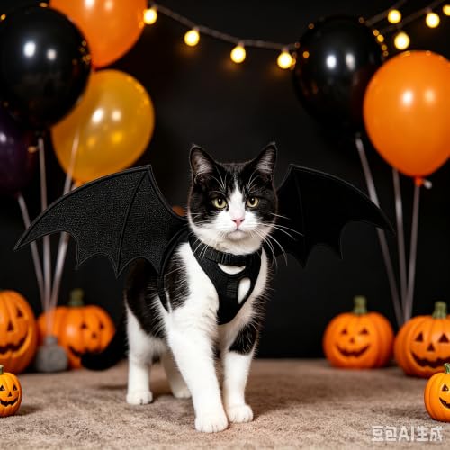 Dark Halloween Bat Wing Style Cat Costumes for Halloween Cosplay Party - image 4