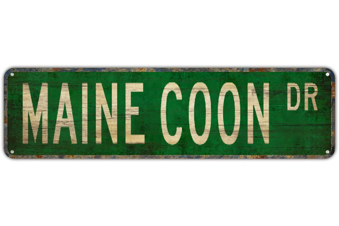 MAINE COON DR Vintage Tin Signs Art Plaque Aluminum for Bedroom Kitchen Garden Wall Bar Club Coffee Hanging Home Decor 4x16 Inch