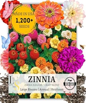 best flowers for sun and heat
