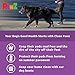 PawZ Rubber Dog Boots for Paws up to 4
