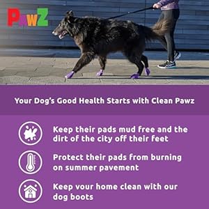 Pawzrubberdogbootsforpawsupto424total2packsof12allweatherdogbootiesforhotpavementsnowmudandrainwaterproofantislipdogsockslargepurple Urban Country Home Decor Pawz rubber dog boots for paws up to 4 24 total 2 packs of 12 all weather dog booties for hot pavement snow mud and rain waterproof anti slip dog socks large purple urban country home decor