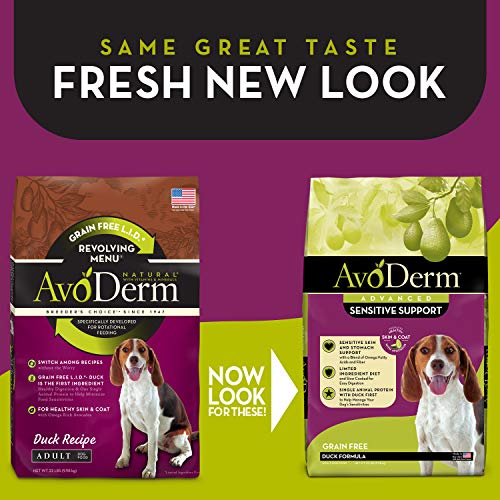 AvoDerm Natural Sensitive Stomach Dry Dog Kibble, Food Intolerance and