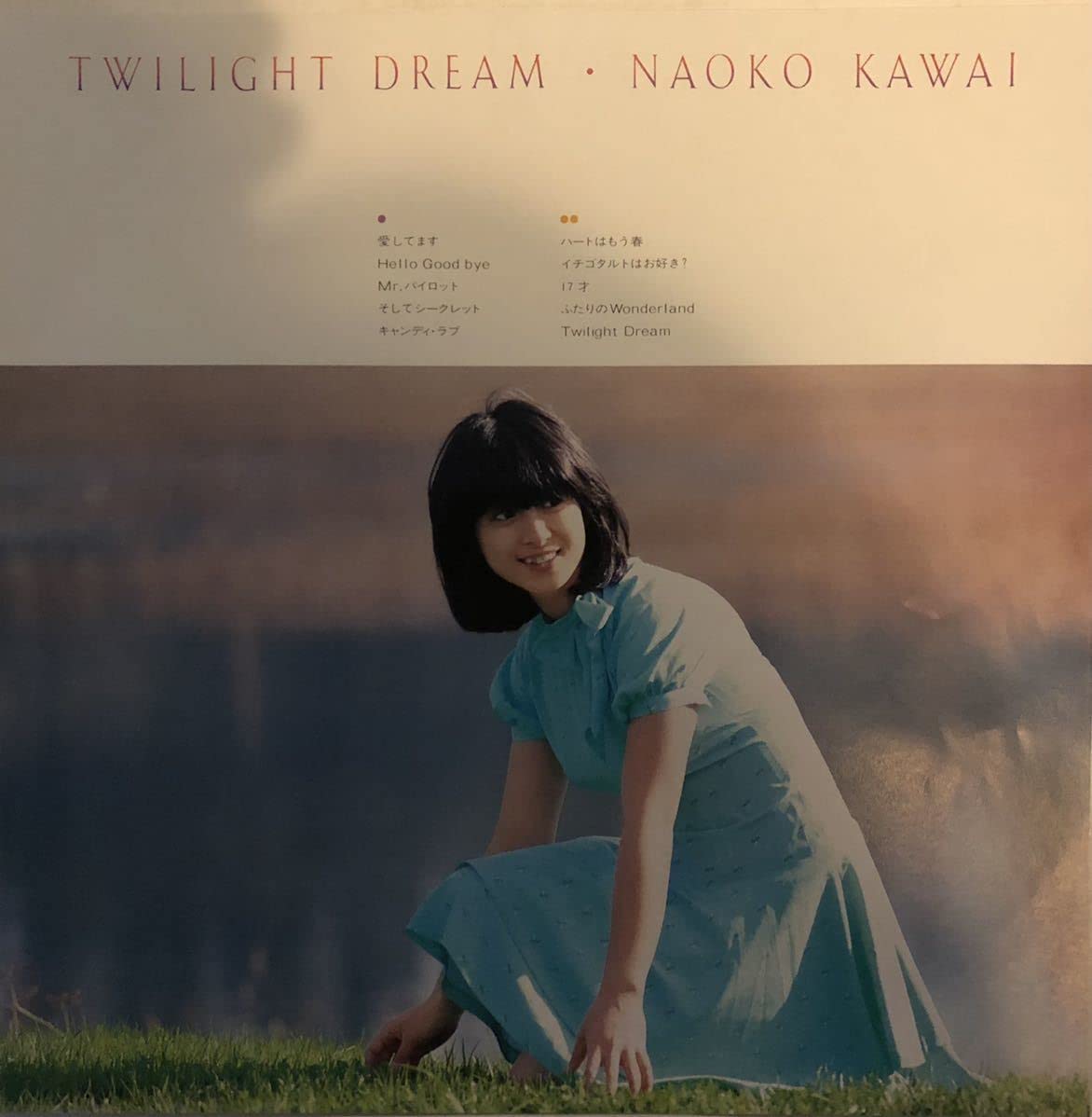 MF　　河合奈保子　トワイライト・ドリーム　TWILIGHT DREAM Twilight Dream : 河合奈保子 | HMV&BOOKS online - COR-11157
