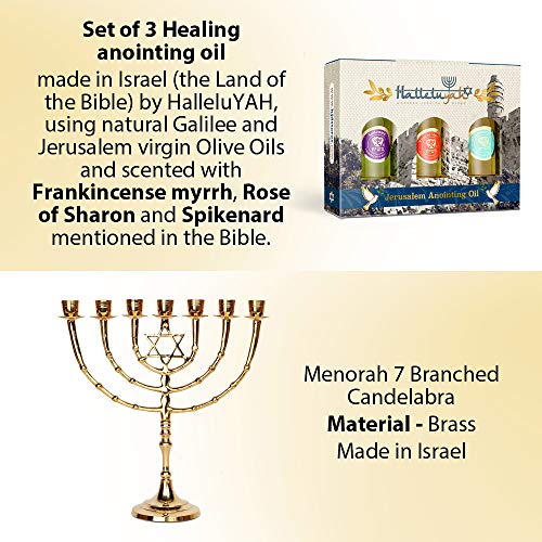 HalleluYAH Menorah 7 Branched Candelabra Plus Anointing Oil from Israel - Classic Star of David Design - Judeo-Christian Symbol - Made in Israel Made of Brass Copper - 11 Inches High - Thumbnail 7
