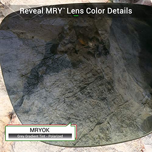 Image of Mryok Replacement Lenses for Oakley Big Taco OO9173 - Options