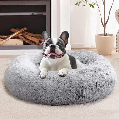 JOLLYVOGUE Small Calming Dog Bed