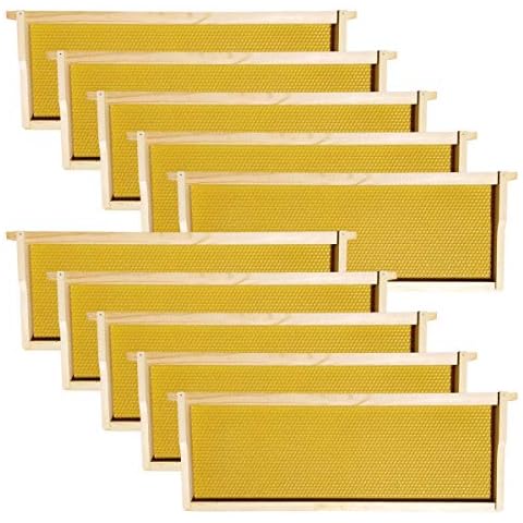 Hoover Hives - Medium Frames & Foundations (10 Pack) - Langstroth Beehive Wooden Frames, Natural Honey Colored Food Grade Plastic Foundations Dipped in Natural Beeswax Cover