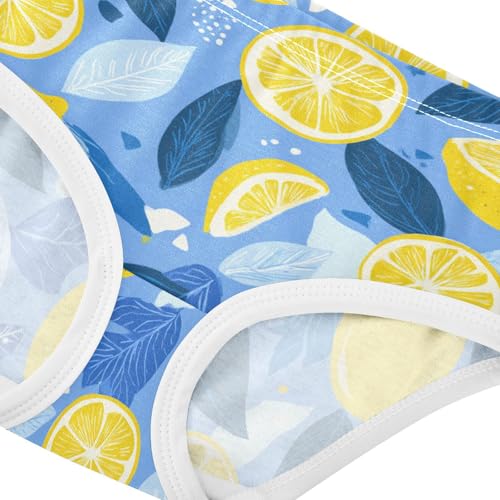 Wusikd Lemon Blue Girls' Underwear Cotton Girls Briefs Soft Toddler Underwear 2T4