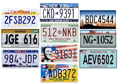 - Lot von 10 US-Autokennzeichen aus Metall – Nachbildungen echter amerikanischer Kennzeichen V1BIS