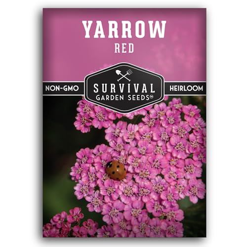 Red or Pink Yarrow Seeds for Planting – Heirloom Medicinal Herb & Perennial Flower Seeds, Pollinator Friendly Blooms for Cottage & Wildflower Gardens - Survival Garden Seeds (1 Pack)