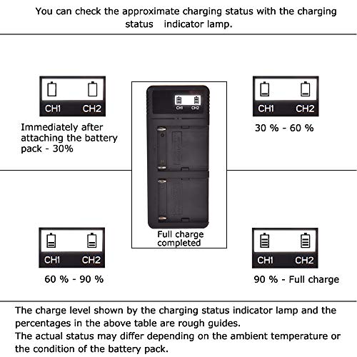 (2 Pack) NP-F970 DSTE Ersatz Batterie + Schnellladung Dual LCD Ladegerät Kompatibel mit NP-F930 NP-F950 NP-F960 und Sony CCD-TR516 CCD-TRV88 CCD-TRV90 CCD-TRV91 CCD-TRV93 CCD-TRV95 CCD-TRV98 - Image 6