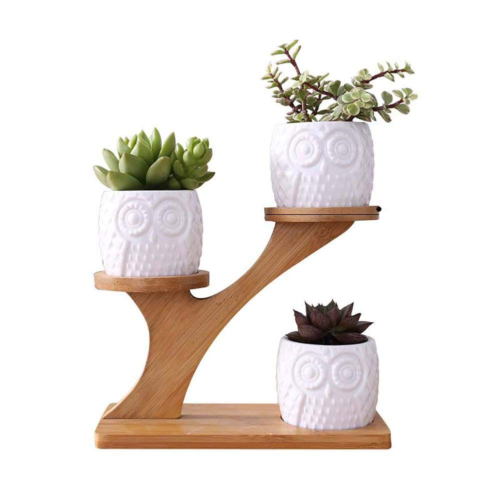 Macetas, Macetas for Plantas de Interior, Florero, Maceta Adornos de Mesa Maceta Maceta con Bandeja 3 Búho Lindo Cerámica Maceta suculenta Escritorio Planta Jardín Decoraciones Accesorios