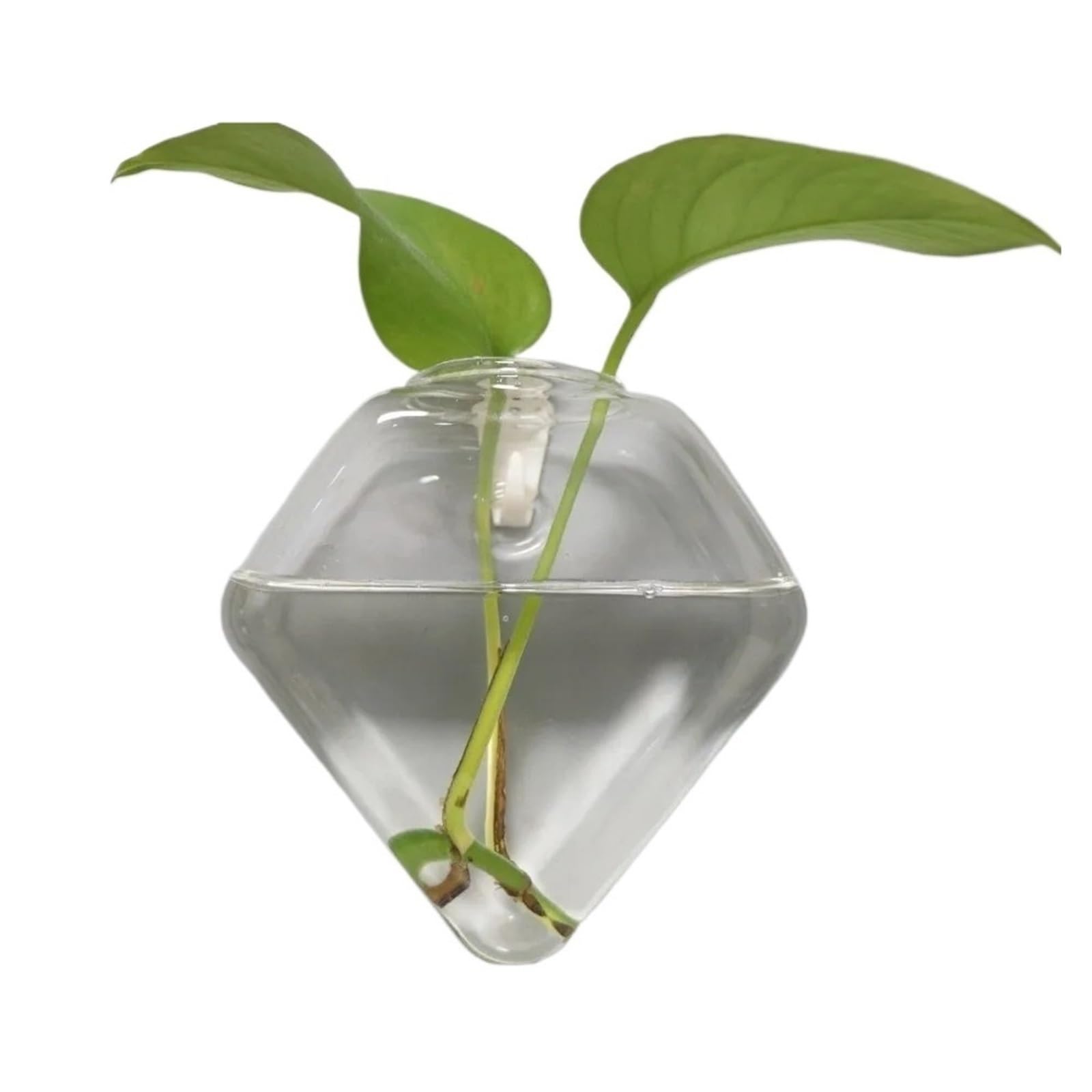 QuxetlRyz Glass Hydroponic Vase Irregular Shape Hydroponic Vase Transparent Wall Mounted Flower Pot Plant Propagation Glass Crafts Lover