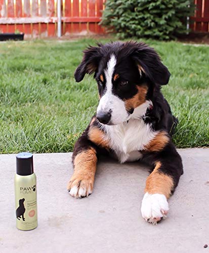 Pawfume Premium Grooming Spray (Show Dog)