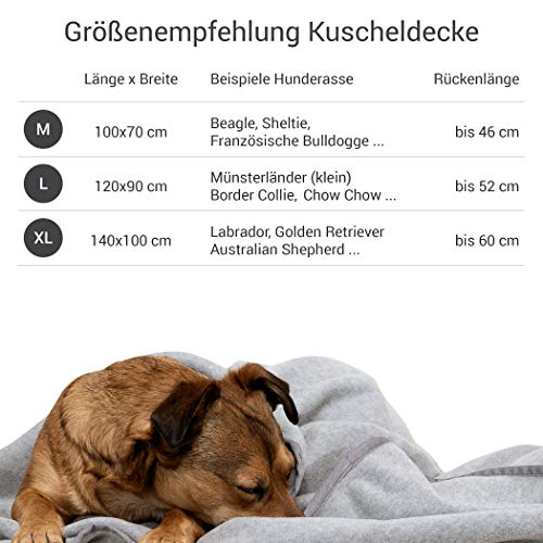 Doctor Bark | kuschelige Hundedecke waschbar bis 95°C, hygienische, weiche Fleecedecke für Sofa und Hundebett, Flauschige Haustierdecke - Made in Germany (XL - 140x100 cm/Hellgrau)