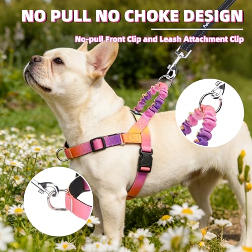 Image of PUPTECK No Pull Dog Harness Small Sized Dog, Adjustable Reflective Pet Vest Harness with Bungee Handle, Escape Proof No Choke Harness for Small Dogs Walking Training, Pink & Purple S