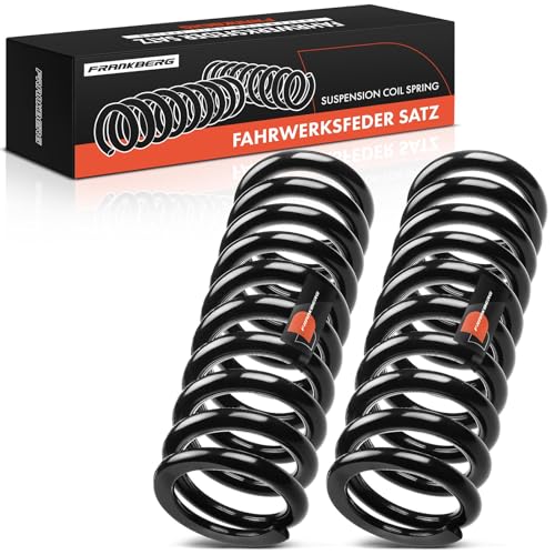 Frankberg 2x Federn Fahrwerksfeder Hinterachse Kompatibel mit SL R129 280 300 320 Cabriolet 1989-2001 Replace# 1293241404