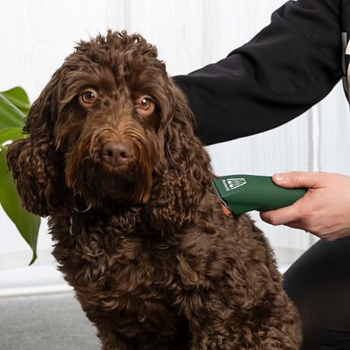 MASTERCLIP Cordless Dog Clipper for Home Grooming – Low Noise, Rechargeable & Heavy Duty – Ideal for Thick, Curly, Silky & Long Coats – 2 Batteries, 10 Blade, 4 Combs, Oil & Brush - Image 2