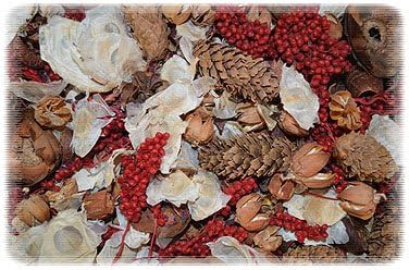 Coffee Potpourri