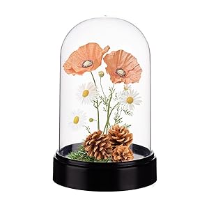 AHANDMAKER Vitrina de acrílico con forma de globo de 9,3 x 13,5 cm, base negra, cristal, campana, vitrina para figuras, flores, plantas, ramos, fotos, decoración de mesa y boda