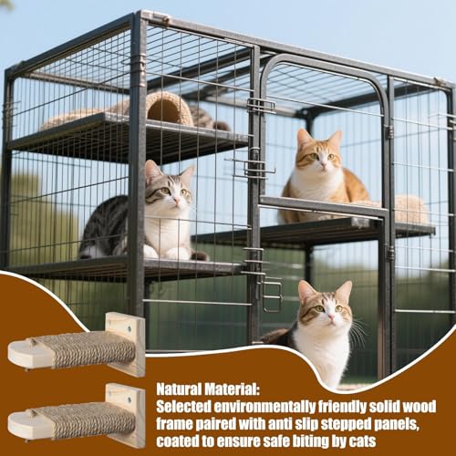 Marches d'escalade pour chat : la solution gain de place pour stimuler votre chaton - 3