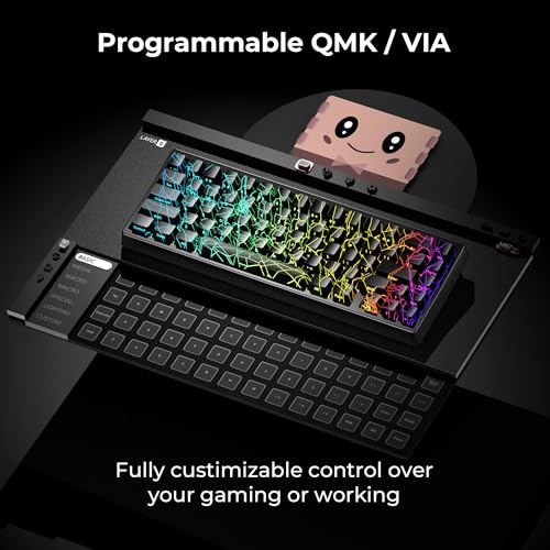 Image of HITIME x XVX M67 60% Percent Keyboard Wireless, QMK /VIA Black Spider Web Gaming Keyboard, Tri-Mode Thocky Creamy Mechanical Key Board, Hot Swappable Gasket Mount RGB IMD Tech for Win /Mac