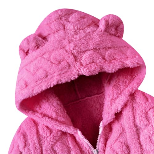 Image of Toddler Fleece Jacket Girls Warm Coats Winter Outerwear 2-6 Years