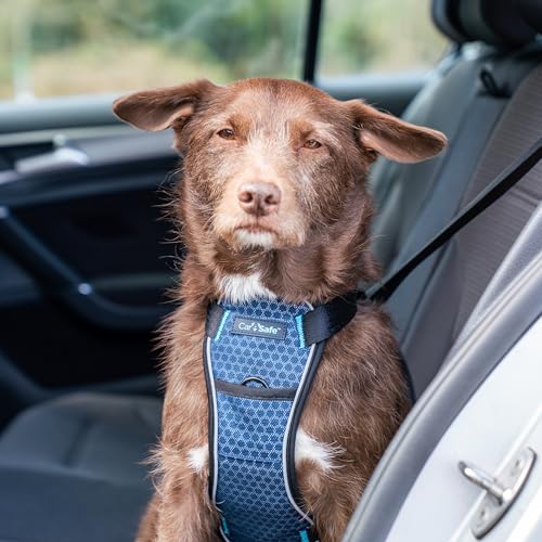 Image of CarSafe Crash Tested Dog Safety Harness - Crash Tested to 32Kg /70lbs, Safely Secure Dog in the Car, Comfortable and Padded Design. for Toy, Small, Medium and Large Dogs (Size Small)