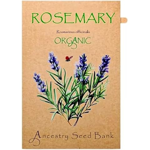 Organic Rosemary Seeds from Ancestry Seed Bank Cover
