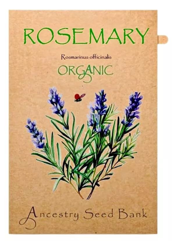 Organic Rosemary ❁ x50 Seeds Heirloom Herbs - Non GMO