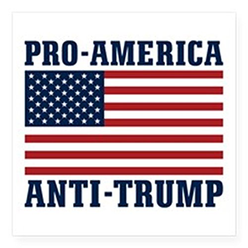 Pro-America Anti-Trump Sticker American Flag Bumper Sticker Second Amendment Decal 5