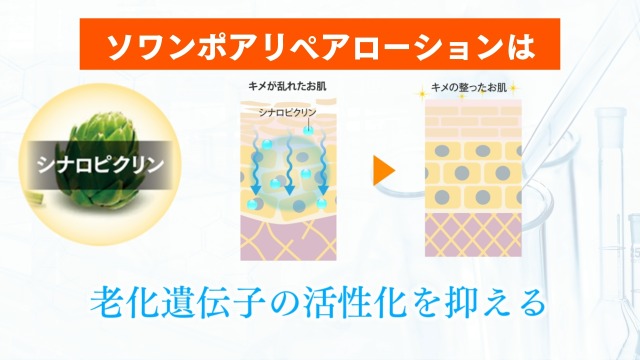 Amazon | メラニン毛穴は ソワン ポアリペアローション 鼻の