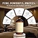 Eleven Drops White Tea Fragrance Oil - Pure Essential Oils Blend for Diffusers (Reed, Ultrasonic Refills), Aromatherapy, Home Scent, Candle Making, Soap Making and Mixing, Long Lasting Aroma - 4oz