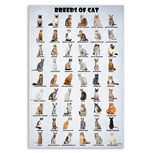 HLLNWB Poster Cat of the World mit Katzenmotiven, 30,5 x 45,7 cm